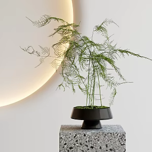 asparagus 3d model