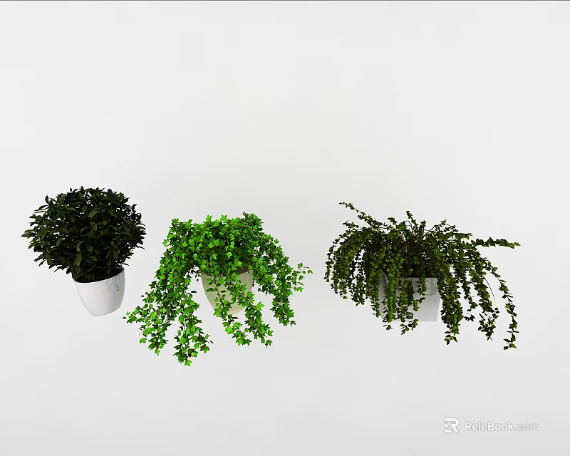 Different Types of Green Hanging Plants in White Planters for Home Decor 3d model 