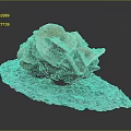 Orange Brown Coral Aquatic Animal Display on Gray Natural Base Surface