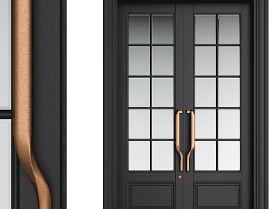 Black Double Doors With Glass Panes And Brass Handles For Home Entrance 3d model