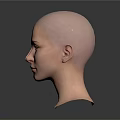Three Human Head Models with Visible Facial Organs and Hairless Scalp 3D Rendered