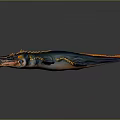 Vibrant Detailed Prehistoric Marine Reptile Model With Blue Orange Colors And Open Mouth Fins