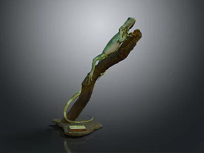 Realistic Lizard Specimen Display On Natural Branch With Wooden Base Stand 3d model