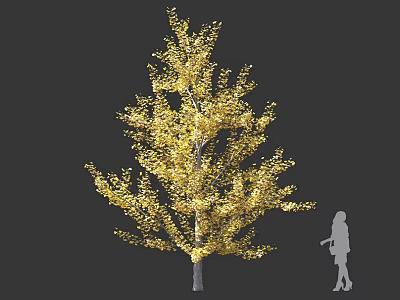 Lush Tall Arbor With Golden Yellow Leaves And Person Silhouette 3d model