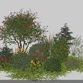 Flowering Shrubs With Red Blooms Green Foliage And Diverse Sizes In Lush Garden Landscape