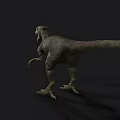 Realistic Velociraptor Realistic Jurassic Animal Dinosaur Velociraptor Reptile Movie Game 3d model