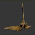 Ancient Brownish Yellow Fossil Bone Structure Isolated On Dark Background