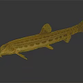 Brown Spotted Aquatic Fish With Elongated Body And Fins On Blue Background