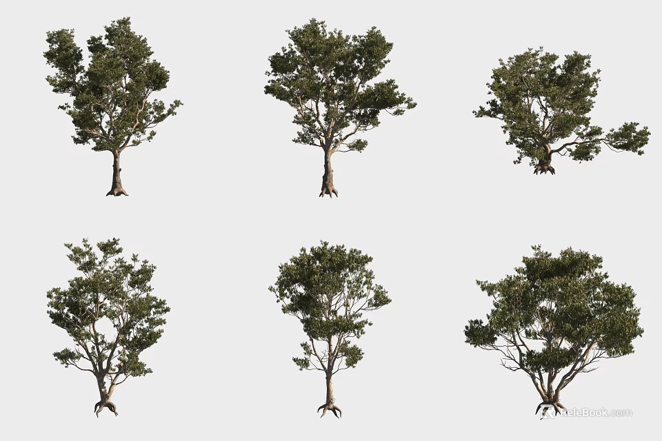 Various Green Foliage Shrubs Showcasing Distinct Root Structures And Growth Forms 3d model