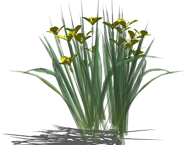 Vibrant Yellow Flower Plants With Long Green Leaves In Fresh Natural Growth 3d model