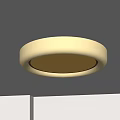 Modern minimalist ceiling lamp 3d model