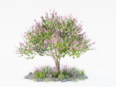 Garden Landscape Design With Pink Flowering Tree Stones And Green Herbs 3d model