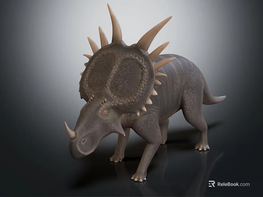 Realistic Triceratops 3D Model with Spiked Frill and Horns Standing on Dark Background 3d model 