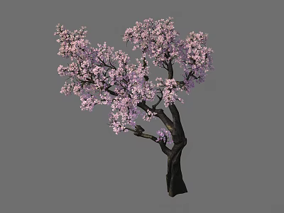 Blooming Arbor With Pink Flowers And Dark Trunk In Gray Background 3d model