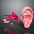 ear human ear medical teaching aids medical furniture medical supplies 3d model