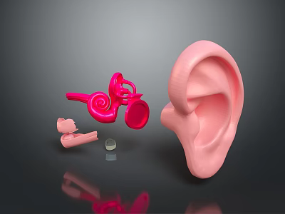 Medical Device Components For Hearing Assistance With Pink Ear Model And Red Parts 3d model