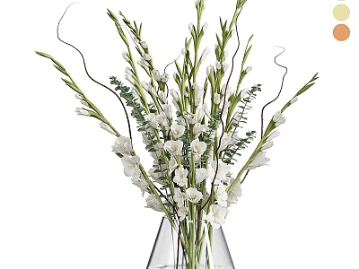 White Gladiolus Flowers Arrangement in Clear Glass Vase with Fresh Green Leaves 3d model