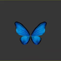 Vibrant Blue Butterfly With Open Wings And Shiny Iridescent Patterns On Dark Background