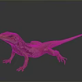Detailed Brown Orange Spotted Lizard Standing On Shiny Dark Reflective Surface 3d model