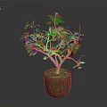 Lush Indoor Plant With Green Leaves And Stems In Brown Wooden Pot