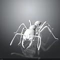 Realistic Detailed White Ant with Extended Legs on Reflective Black Surface