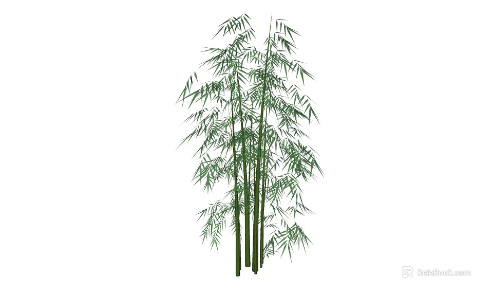 Tall Bamboo Plants With Lush Green Leaves And Slender Stems For Natural Garden Landscape 3d model 