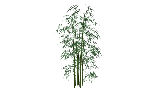 Modern bamboo 3d model