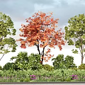 Garden Plant Combination With Red Leaf Tree Green Leaf Trees Shrubs And Purple Flowers