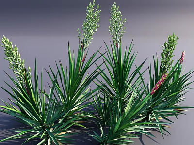 Stylish Vase With Green Long Leaf Flowers And Red Spikes For Home Decoration 3d model