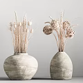 Decorative Potted Dried Plants in Rustic Ceramic Pots with Wheat Ears and Grass