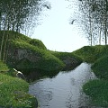 brook bamboo flowers corona scene pond 3d model