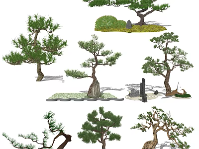 Various Shaped Arbor Trees With Curved Trunks Green Foliage And Decorative Stones In Garden Landscape 3d model
