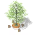 Modern Tree Pool Landscape Tree Pool 3d model