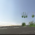 Aquatic Plants Collection Featuring Various Green Foliage And White Flower Spikes