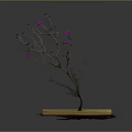 Open Book With Growing Tree Having Pink Flowers And Symbol On Pages