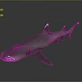 3D Rendered Shark With Streamlined Body And Dorsal Fins On Dark Gradient Background