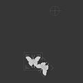 Colorful Butterflies With Vibrant Iridescent Wings And Detailed Patterns On Shiny Reflective Surface