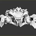 Detailed White Human Pelvis and Spine Anatomical 3D Model Structure 3d model