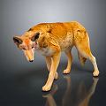 Realistic Wolf Animal Figure With Yellow Fur Standing On Dark Reflective Surface