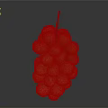 Yellow Grapes with Water Drops and Red Stem on Gray Gradient Background