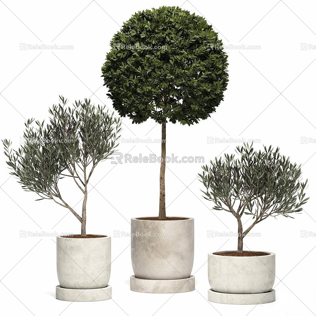 Green Plant Ornaments Bonsai model