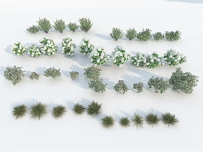 Various Shrubs with Green Leaves White Flowers Different Sizes and Shapes Arranged on White Background 3d model