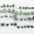 Various Shrubs with Green Leaves White Flowers Different Sizes and Shapes Arranged on White Background