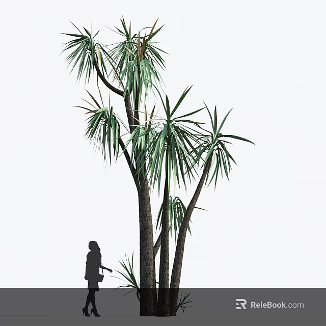 Arborescent Palm Like Tree With Green Leaves And Slender Trunks Beside Person Silhouette 3d model 
