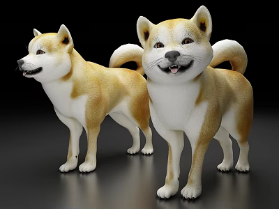 Realistic Tan And White Shiba Inu Dog Models Standing On Black Background 3d model