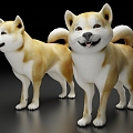 Puppy Chai Dog Animal Pet 3d model