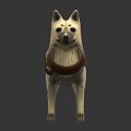 Modern Dog Clothing 3d model