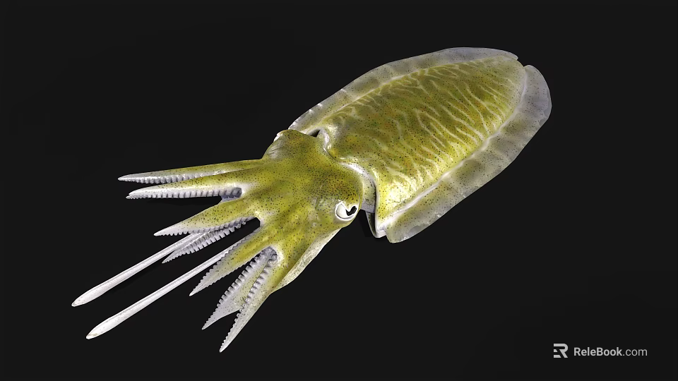 Green Squid With Tentacles And Textured Body On Black Background 3d model 