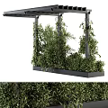 Outdoor Garden Pergola Structure With Wooden Posts And Lush Green Climbing Plants