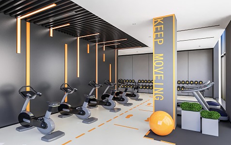 Gym Fitness Equipment 3d model